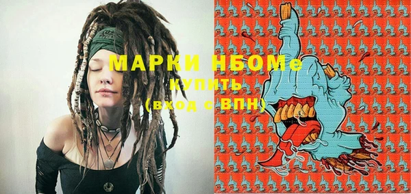 гидра Новозыбков