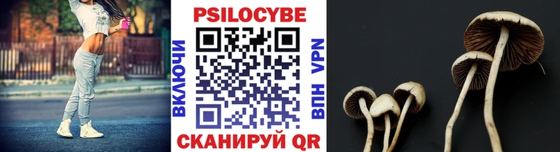 продажа наркотиков  Протвино  OMG ссылка  Галлюциногенные грибы GOLDEN TEACHER 