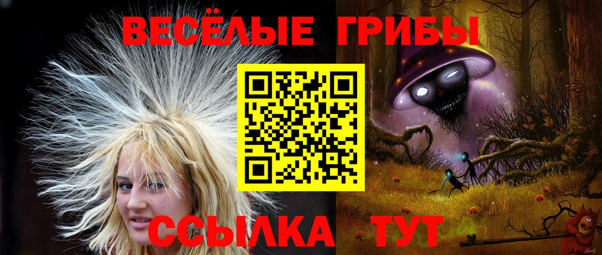 Галлюциногенные грибы Psilocybine cubensis  Вход с VPN  дарнет шоп  Протвино 